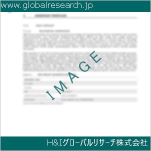 グローバルリサーチ調査資料のイメージ